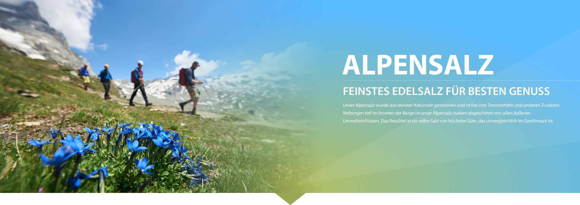 Bei Salz Helmreich erhalten Sie Alpensalz aus reinster Natursole. Tief im Inneren der Berge ist es abgeschirmt von Umwelteinflüssen und frei von Zusätzen.